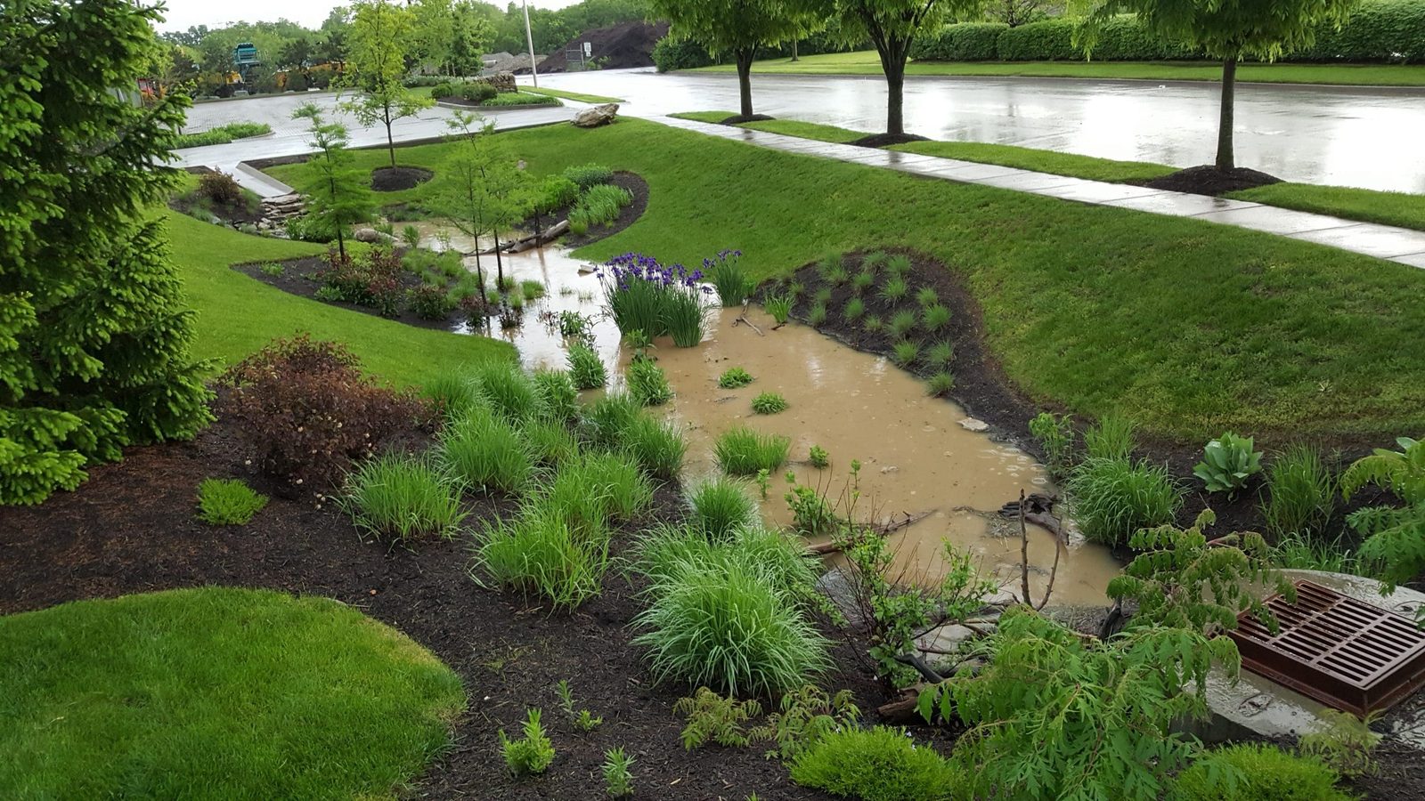 Erosion control & site BMPs